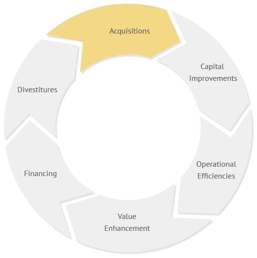 Business Model